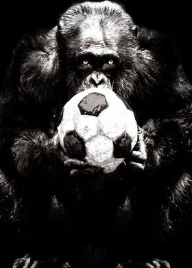 Soccer Chimp