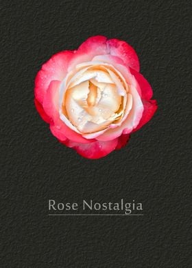 Rose Nostalgia