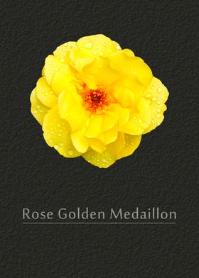 Rose Golden Medaillon