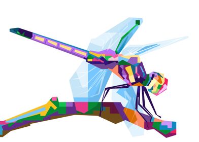 dragonfly in the wpap art 