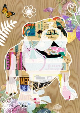 Bulldog Collage