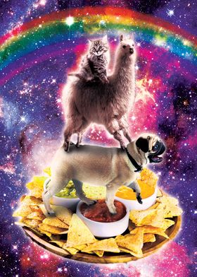 Space Cat Llama Pug Nachos