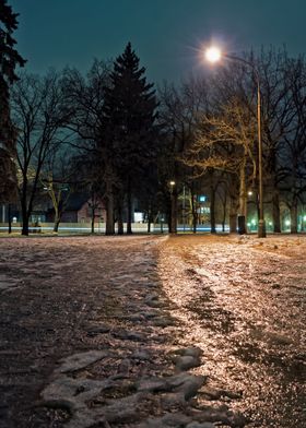 Path At The Park By Night