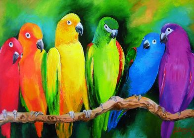 Parrots