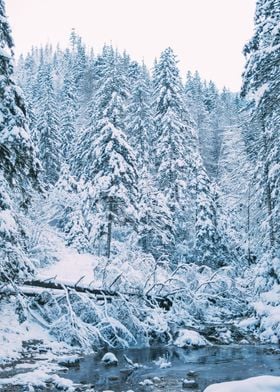 Blue Snow River