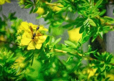 Black Wasp on Flowers     