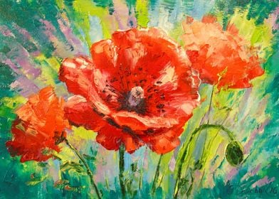 Poppies