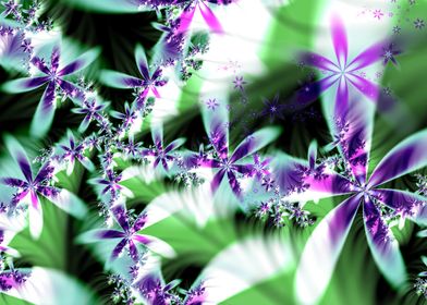 Fractal Flowers