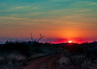 Sunrise Africa