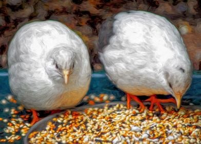 Two Quails Eating