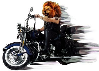 Born to be wild