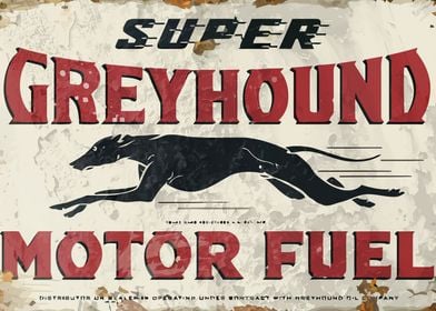 Greyhound vintage