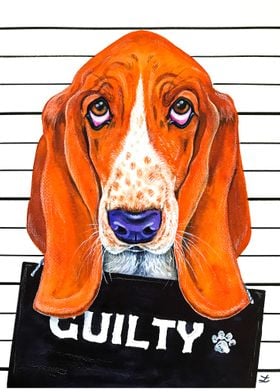 Basset Hound Mugshot