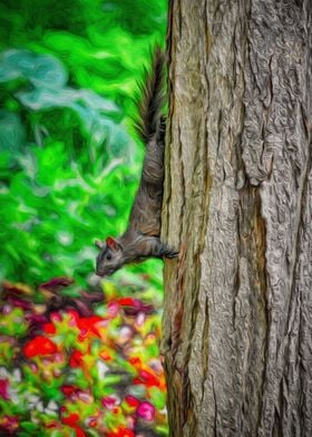 Squirrel in the Garden