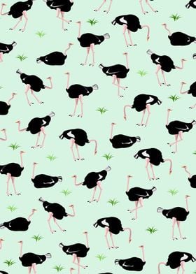 Ostrich Pattern