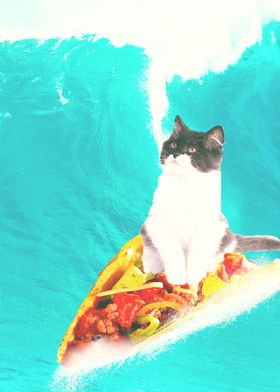 Kitty Cat Surfing Taco