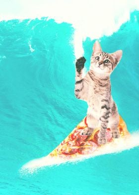 Kitty Cat Surfing Pizza