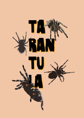 Tarantula