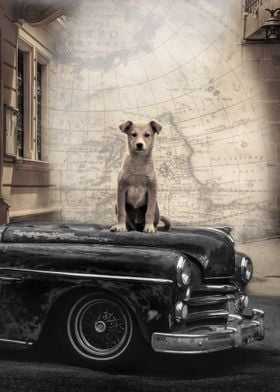 dog and retro car