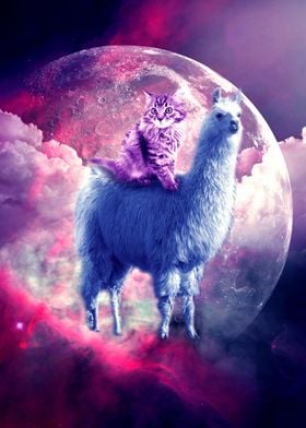 Kitty Cat Riding On Llama
