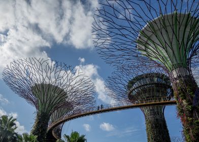 Supertrees Singapore