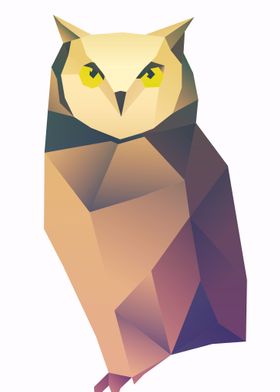 Owl Poly