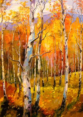 Birches in sunlight