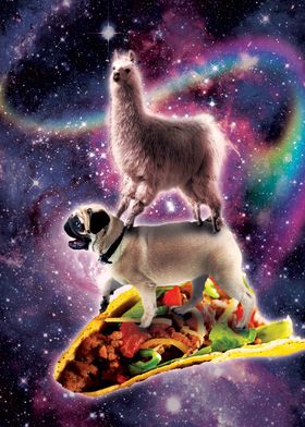 Llama On Pug Riding Taco