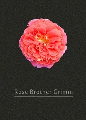 Rose Brother Grimm