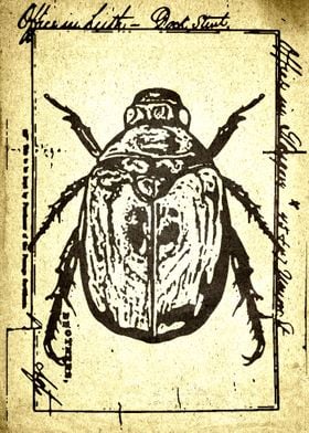 vintage insect