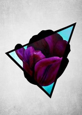 Dark Tulip Triangle