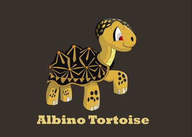 Albino Tortoise 