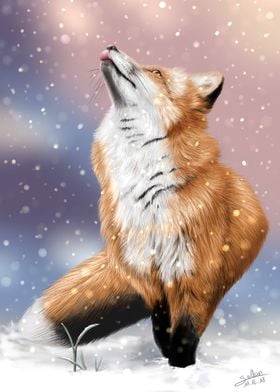 The fox s xmas