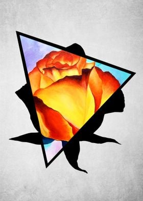 Fire Rose Triangle