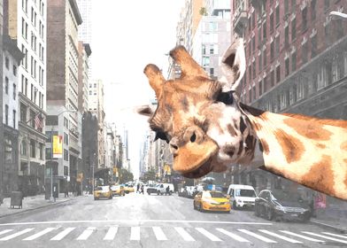 Selfie Giraffe in NYC