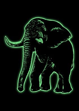 Elephant Light5