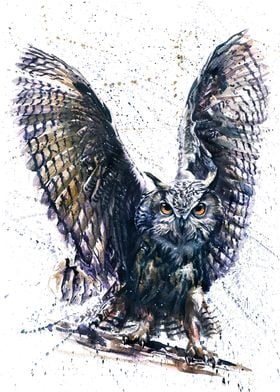 Owl watercolor