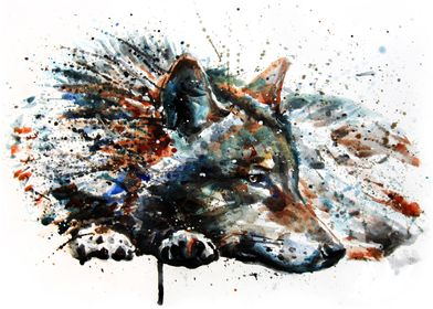 Wolf watercolor