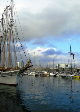 Yachts in Barcelona