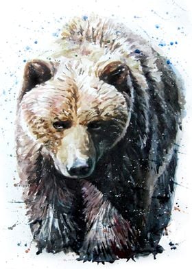 Bear watercolor painting