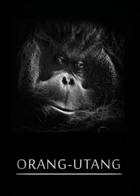 OrangUtang