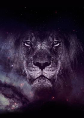 Galaxy LION