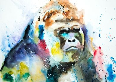 Gorilla