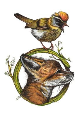 Little Fox and Firecrest