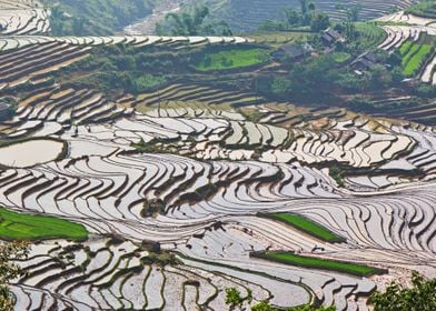 Working on terraced fields