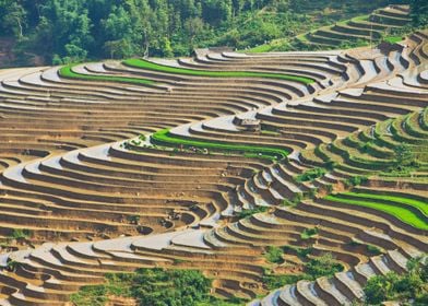 Farming on terraces