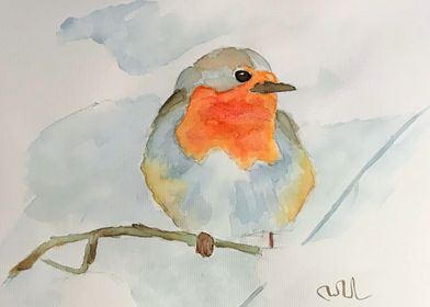 watercolor robin