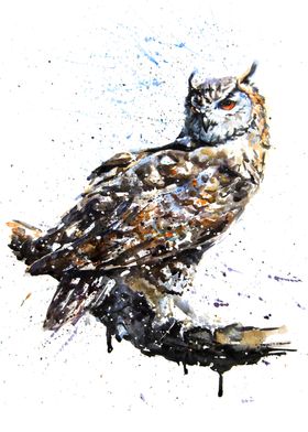 Owl watercolor painting