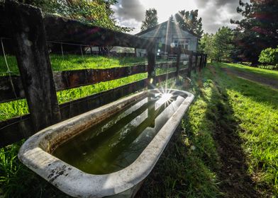 Abandoned Bath