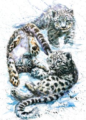 Little snow leopards